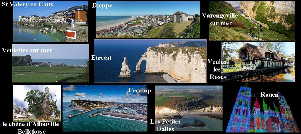 فيلا Coeur D'Albatre Saint-Riquier-ès-Plains المظهر الخارجي الصورة